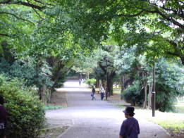 戸山公園（箱根山地区）【東京考察#204】